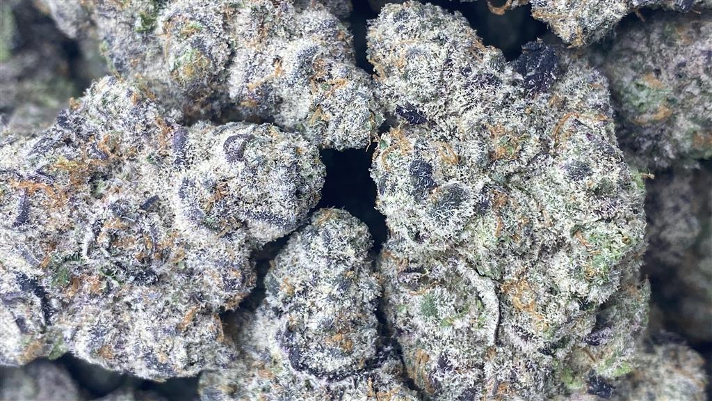 SNOW MAN X TOAD VENOM: 42.17%