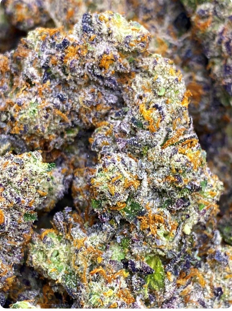 BISCOTTI X ZAWATS: 38