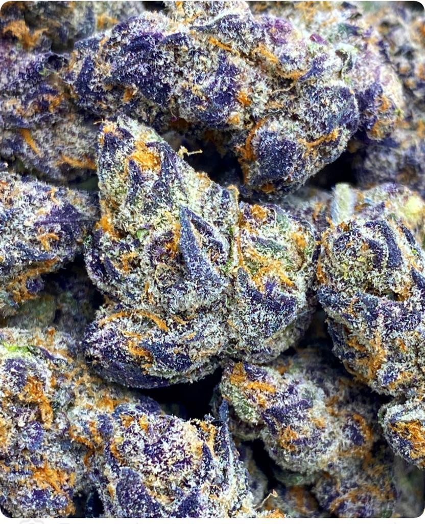 BANIMALS X RUNTZ: 32.