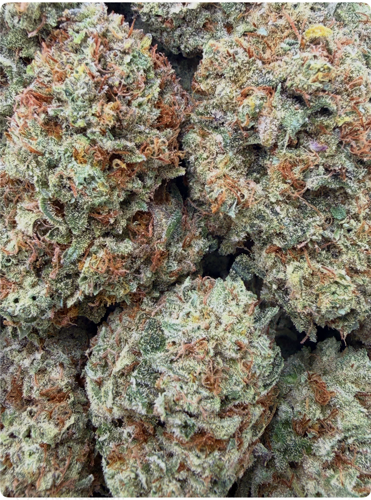 MILK N COOKIES: 34.28%