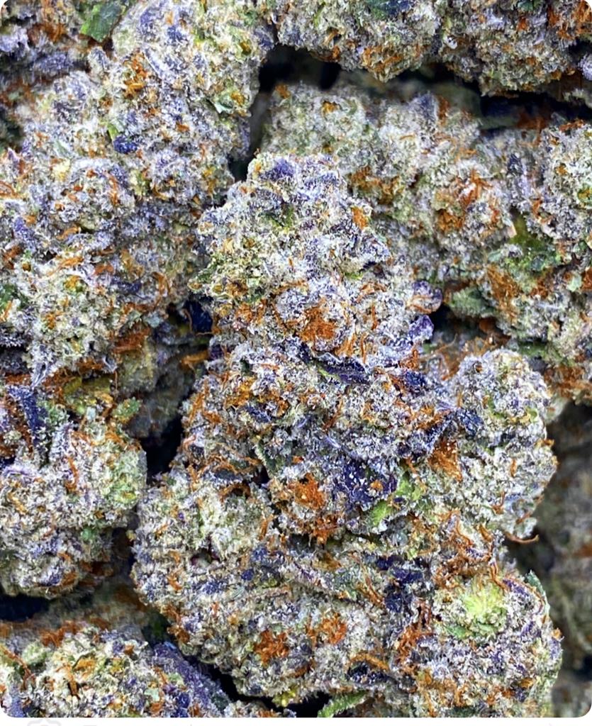 CHERRY JANE