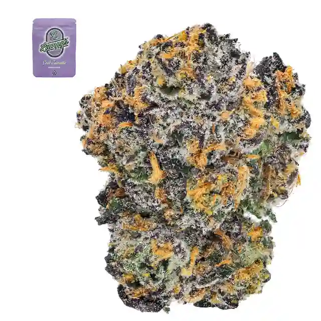 ALIEN APPLE: 32.64%