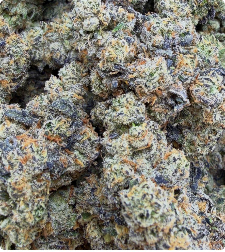 GELATO COOKIES: 39.54%