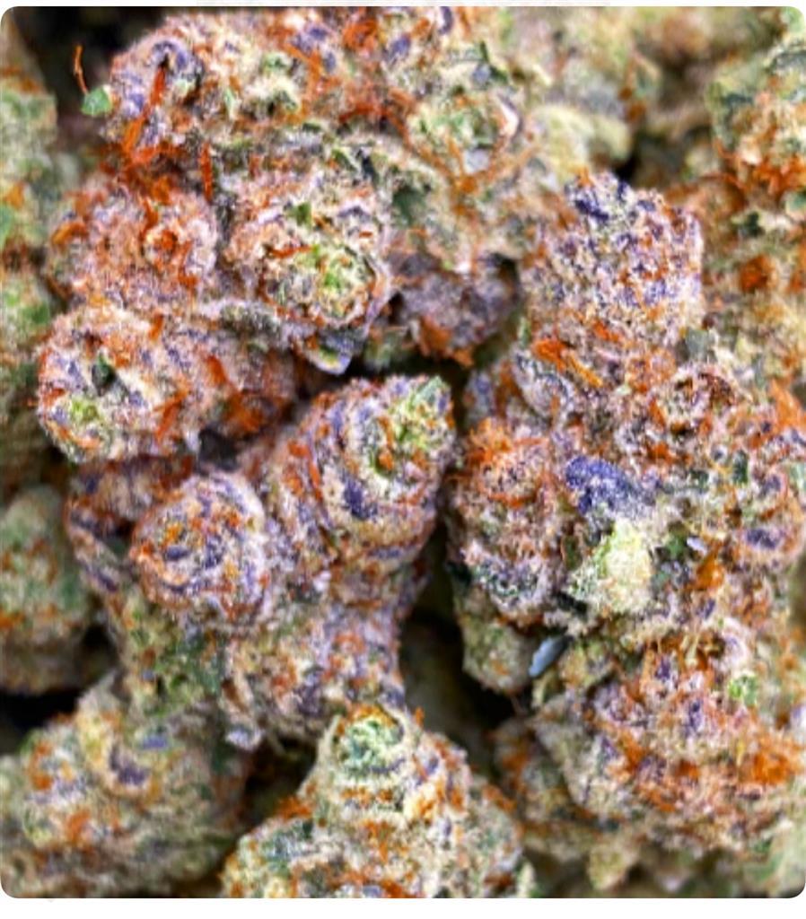 ANIMAL COOKIES: 39.27