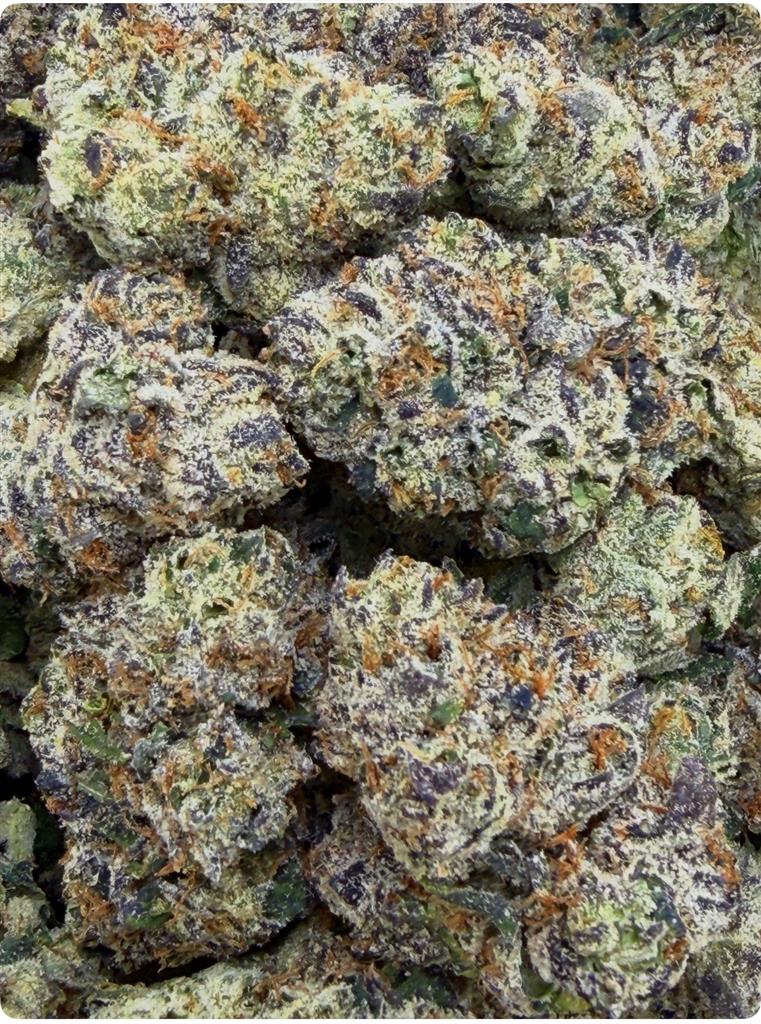 LEMON CHERRY ZITTLES: 35.34%