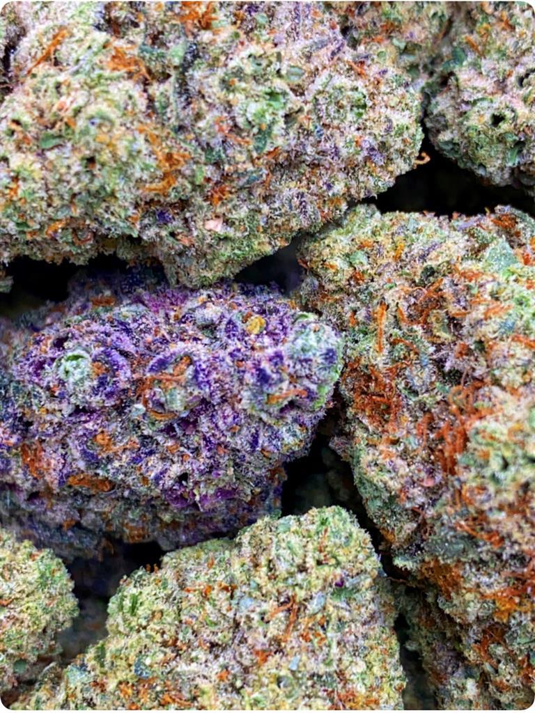 za za x purple octane