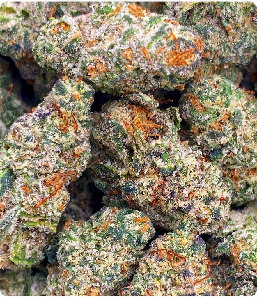 CINDERELLA 99 SMALLS: