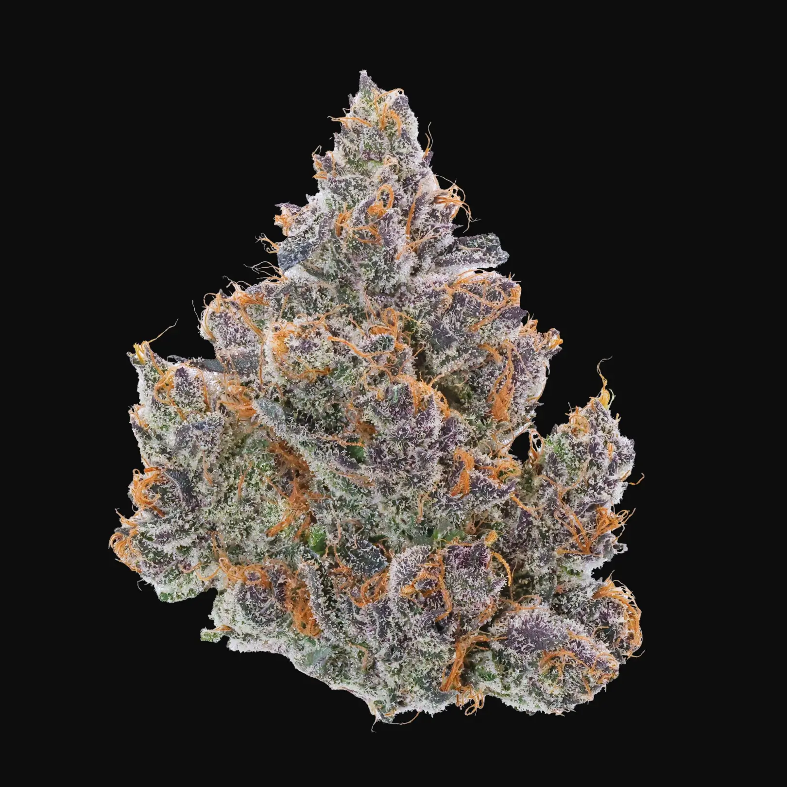 ORANGE TREE: 36.11%