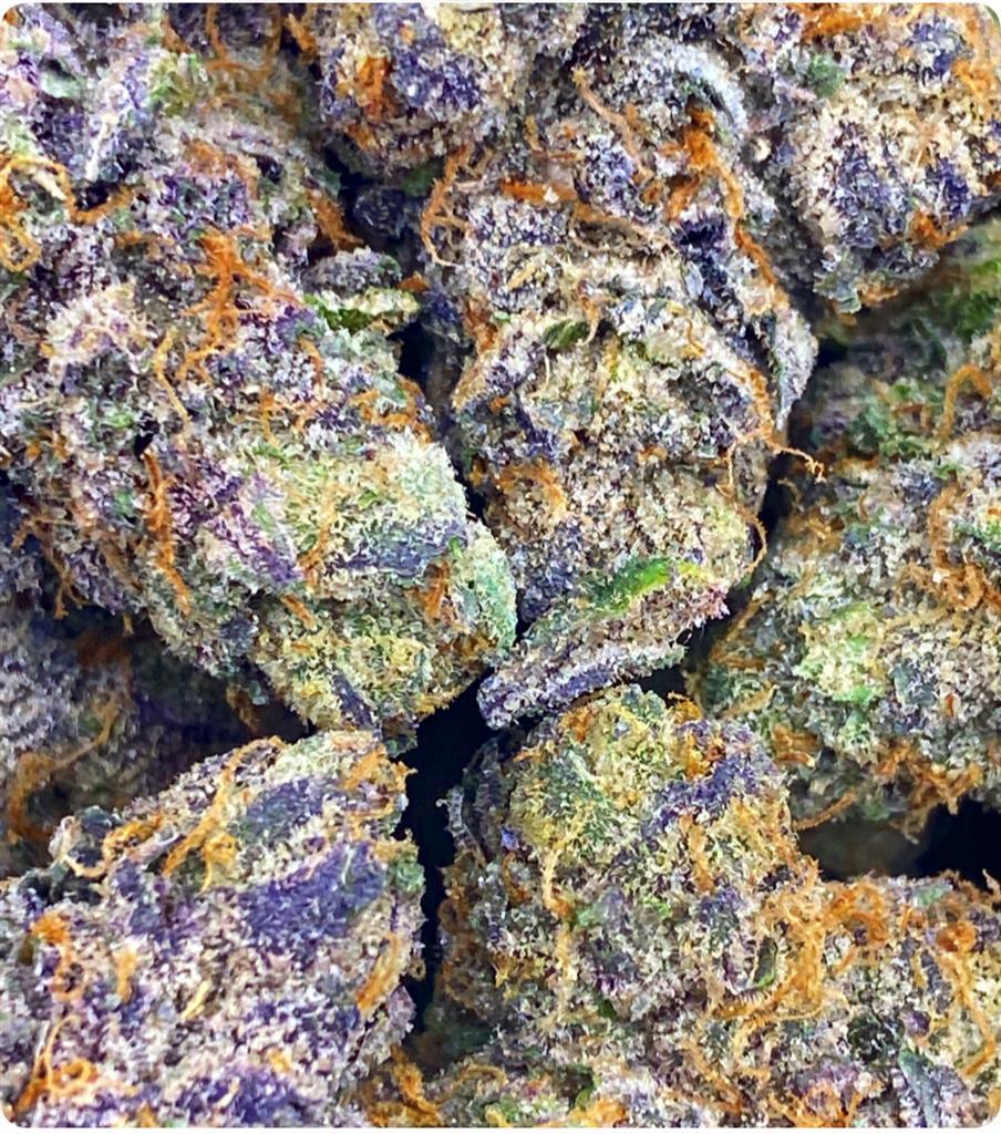 GIRAFF P*SSY: 32.19%