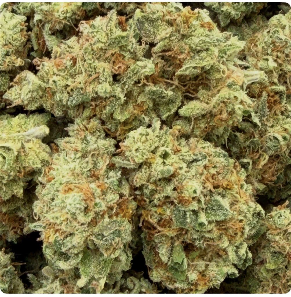STRAWBERRY COUGH: 34.83%