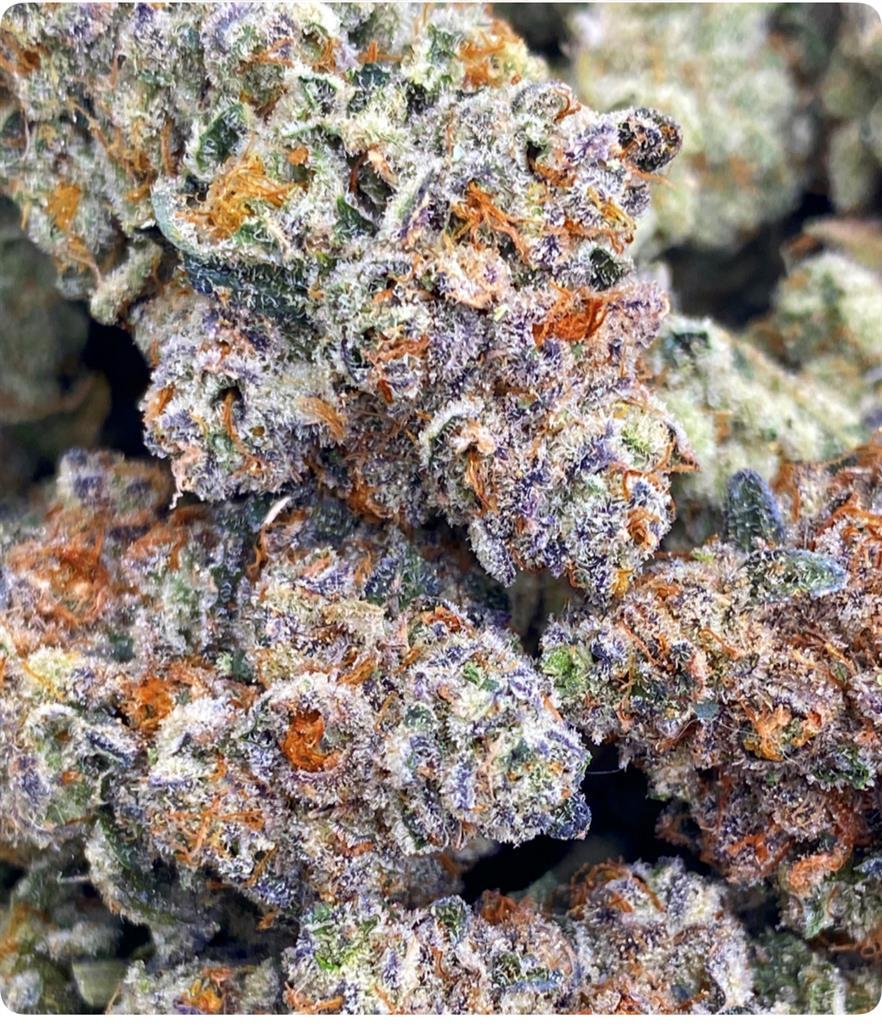 PABLO'S REVENGE: 37.1