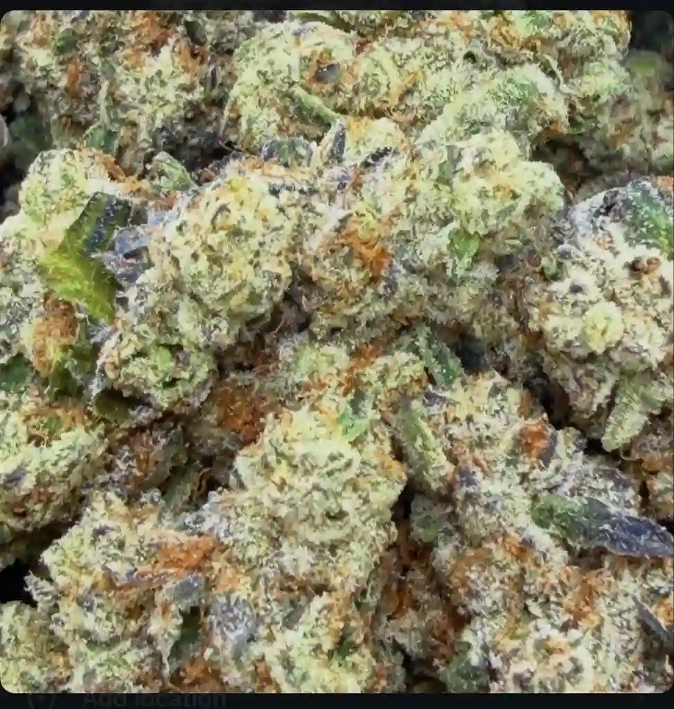 BEN AND BERRIES: 32.93%