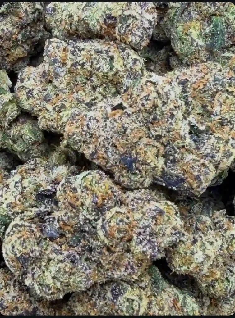 LEMOMN CHERRY GELATO: 33.21%