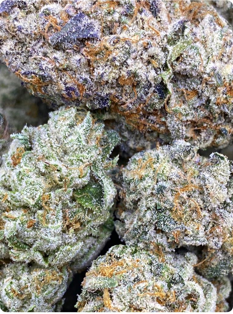 PEACH GELATO ZZZZ: 36.12%