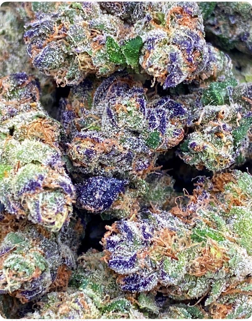 WRECKLESS RAINBOW X P