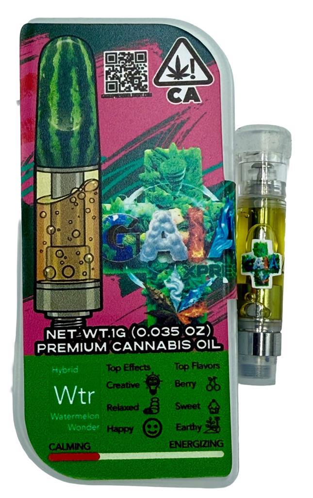 WATERMELON WONDERS: 8