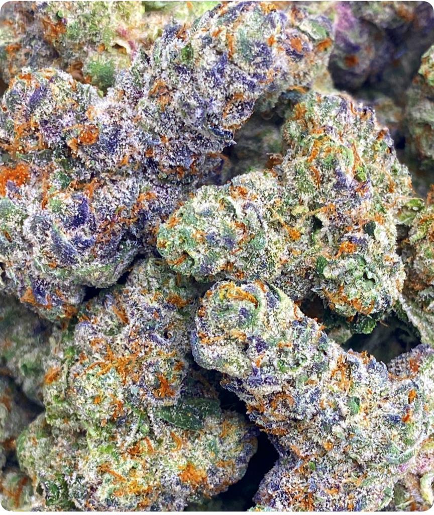 MORELLO SORBET: 36.14