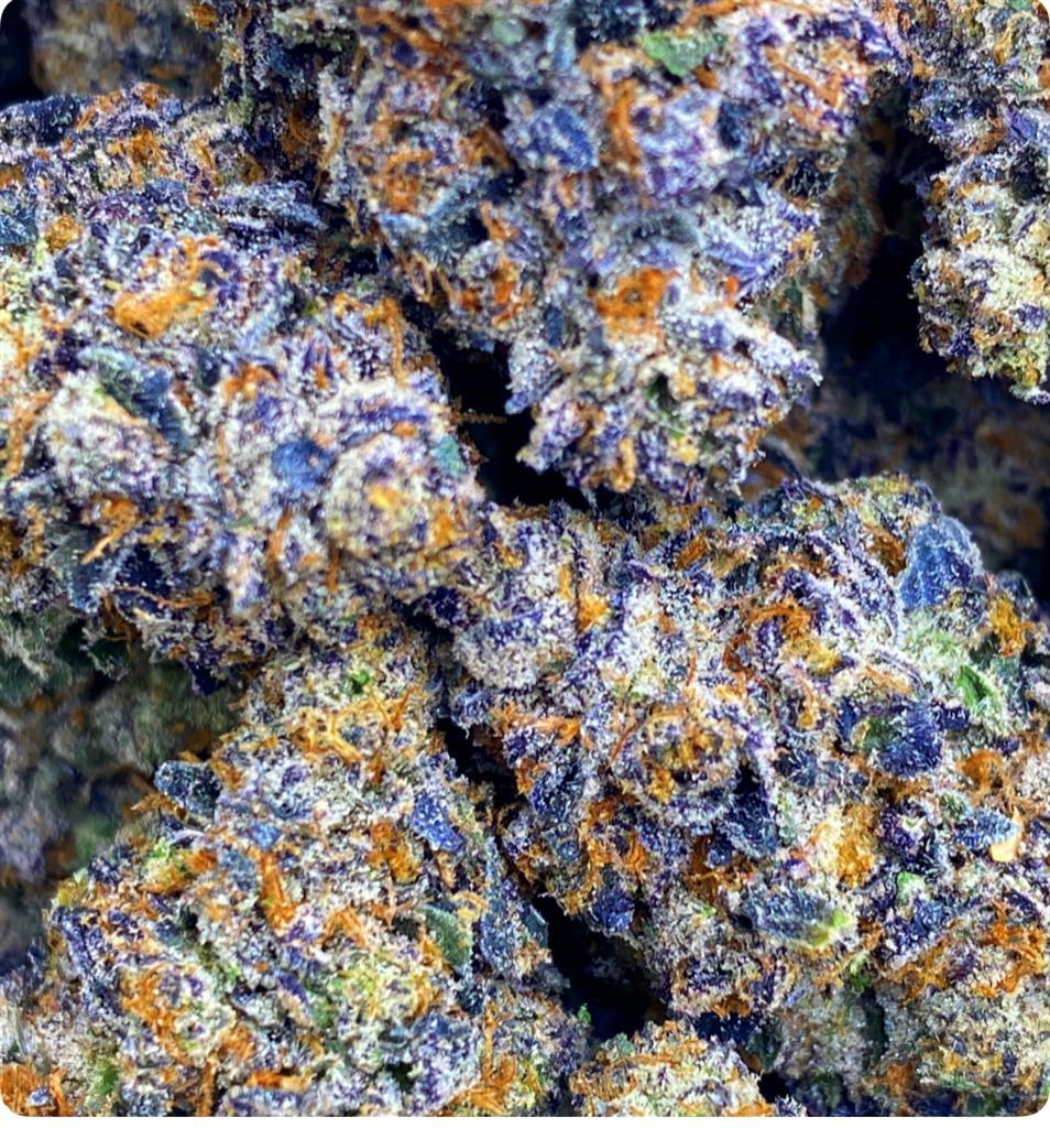 COOKIE MONSTER'S BLUE