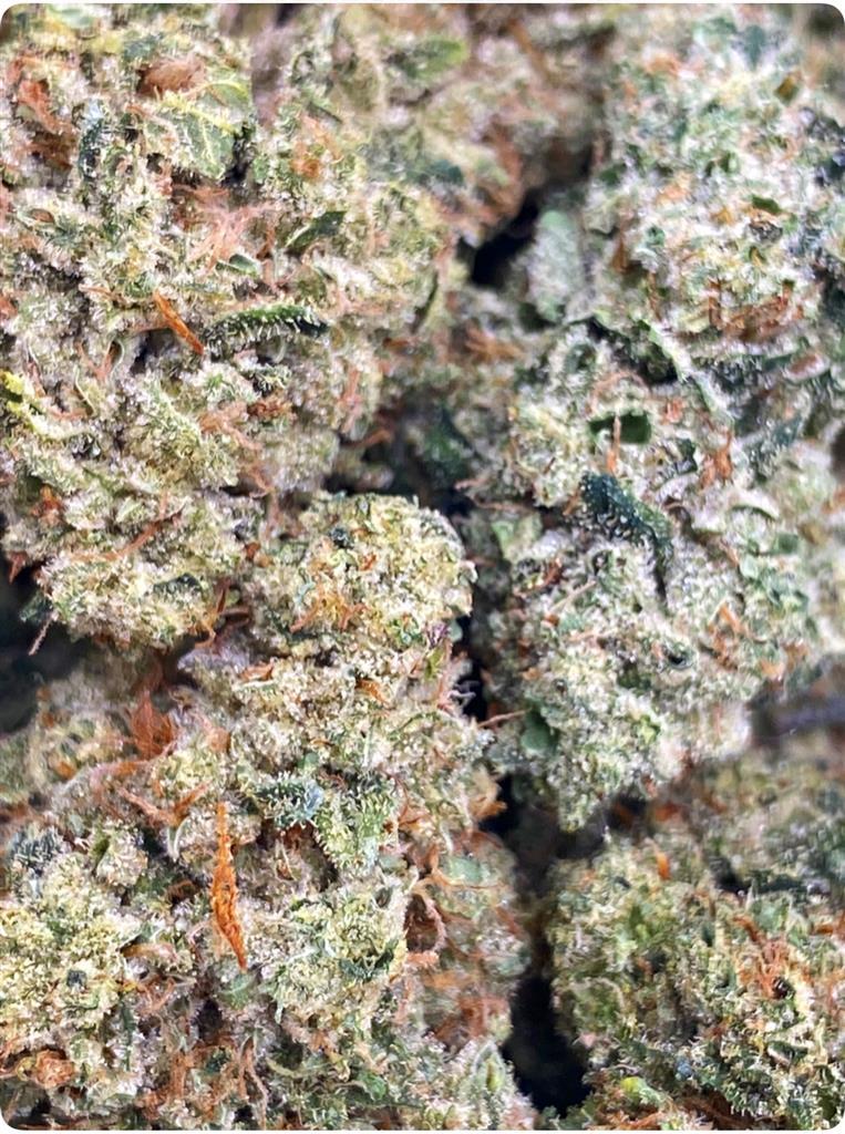 SKY WALKER KUSH: 40.2