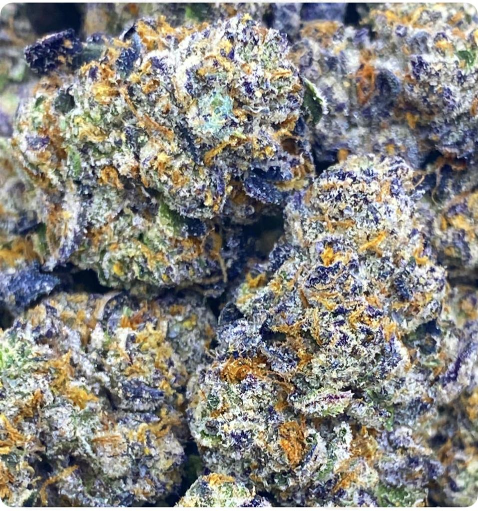 BERNERS BLUE COOKIES: 37.27%