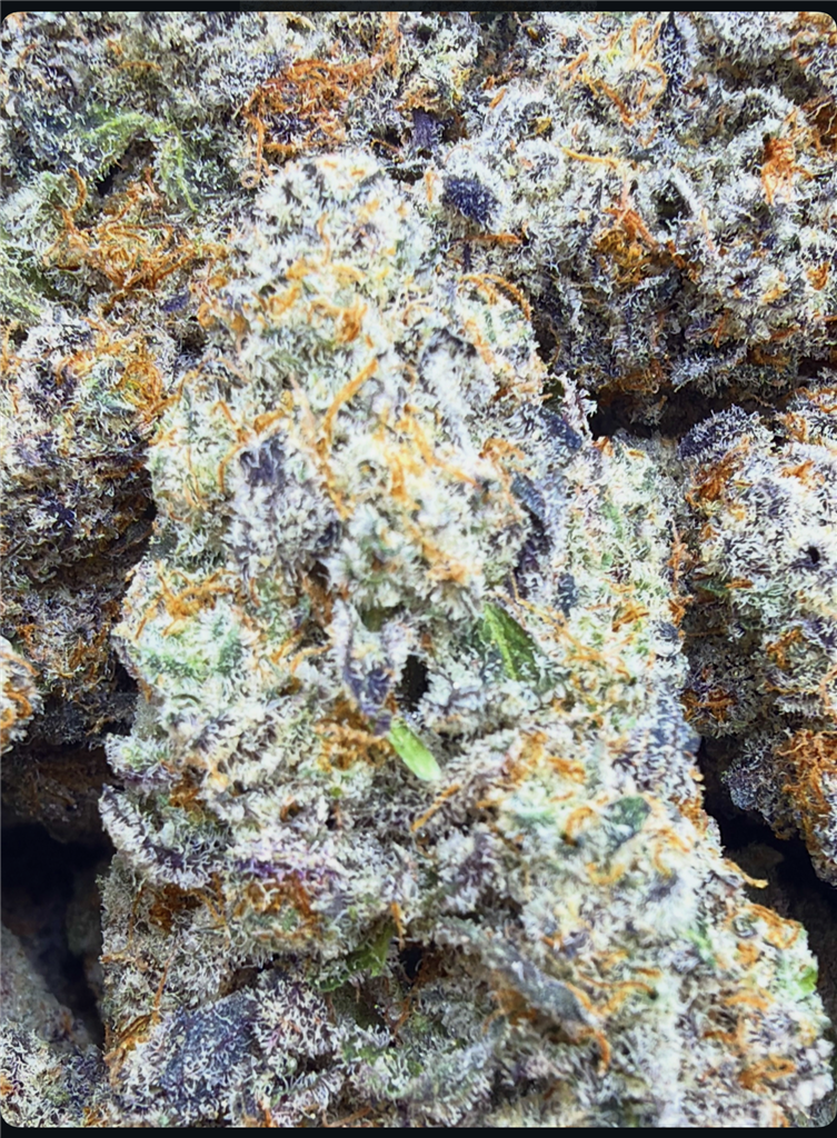CHERRY DOSI: 38.26%