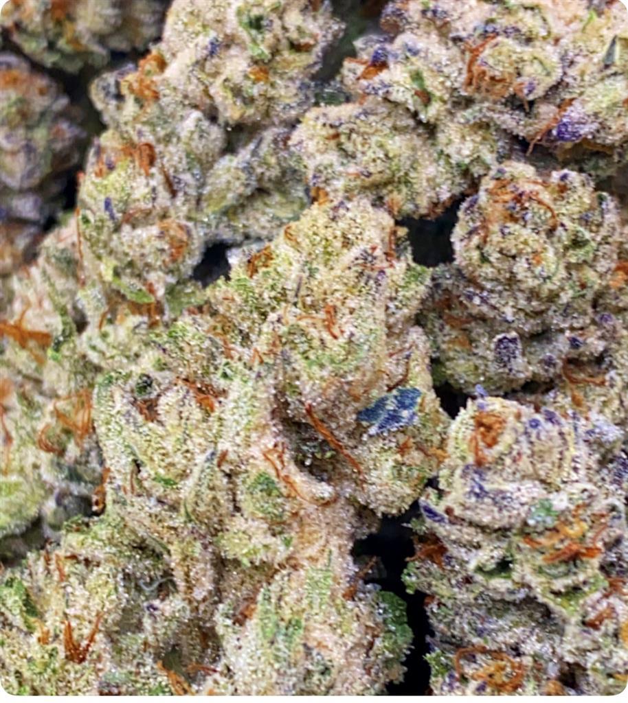 GORILLA MINTZ: 28.41%