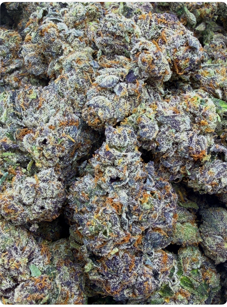 CRUNCH BERRIES: 38.96%