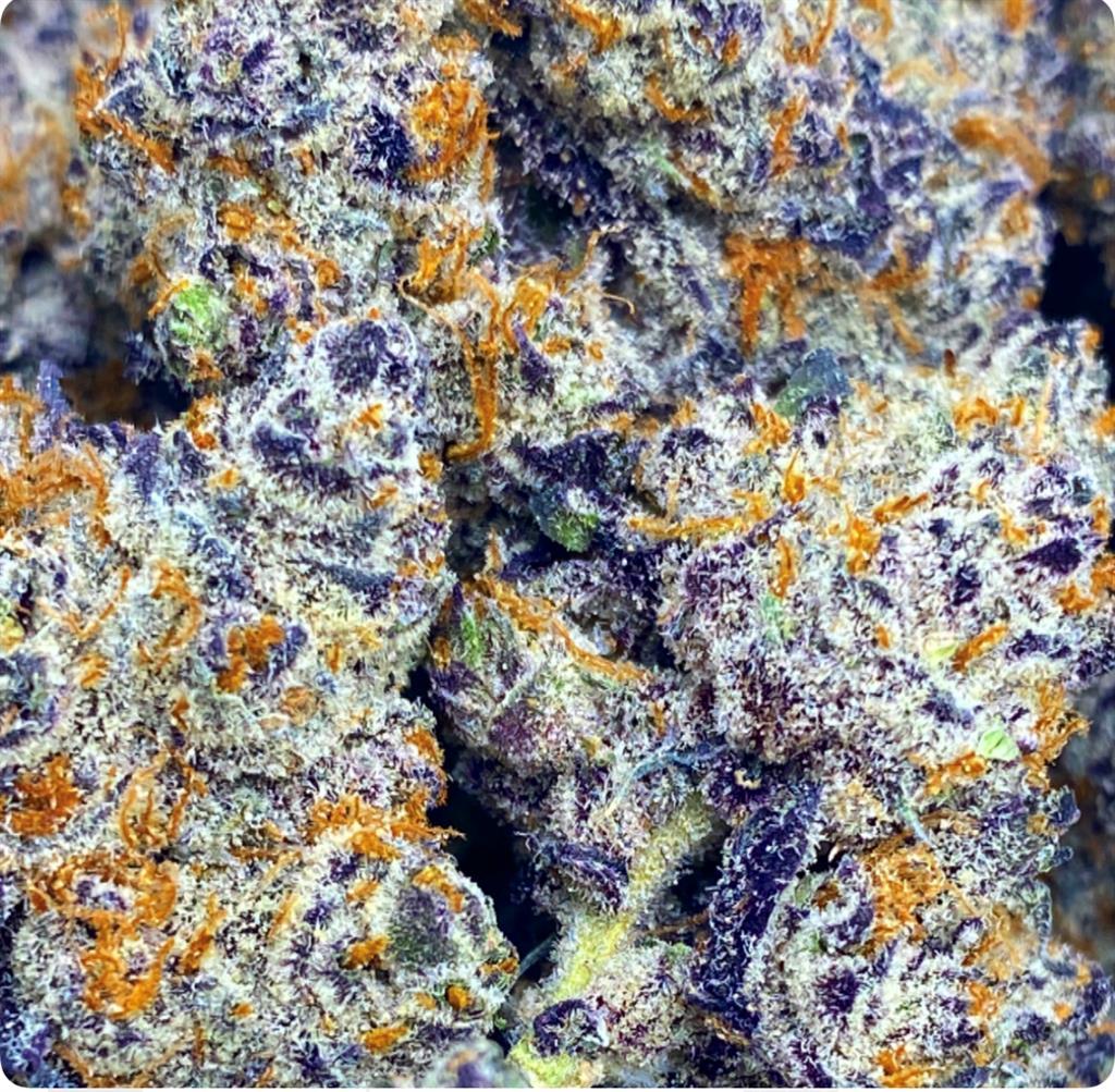 SHIRLEY KILLER: 35.37