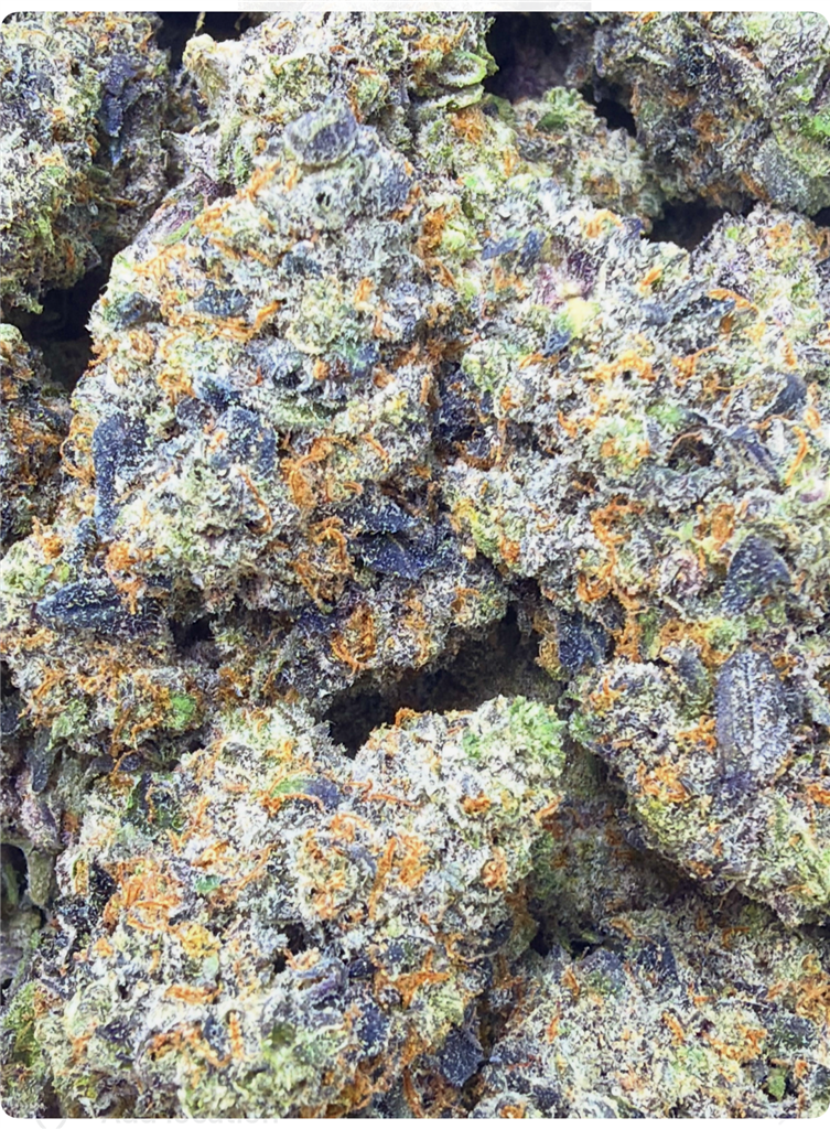 BENANIMALS X APPLE FRITTER: 