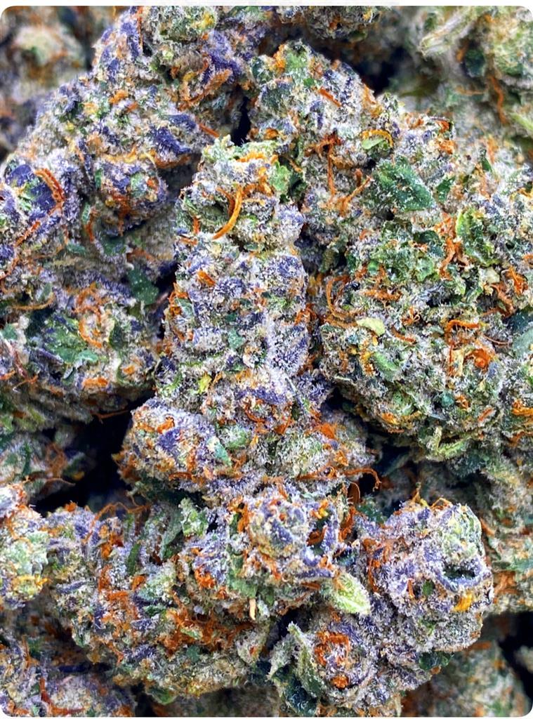 TAHOE COOKIES: 37.63%