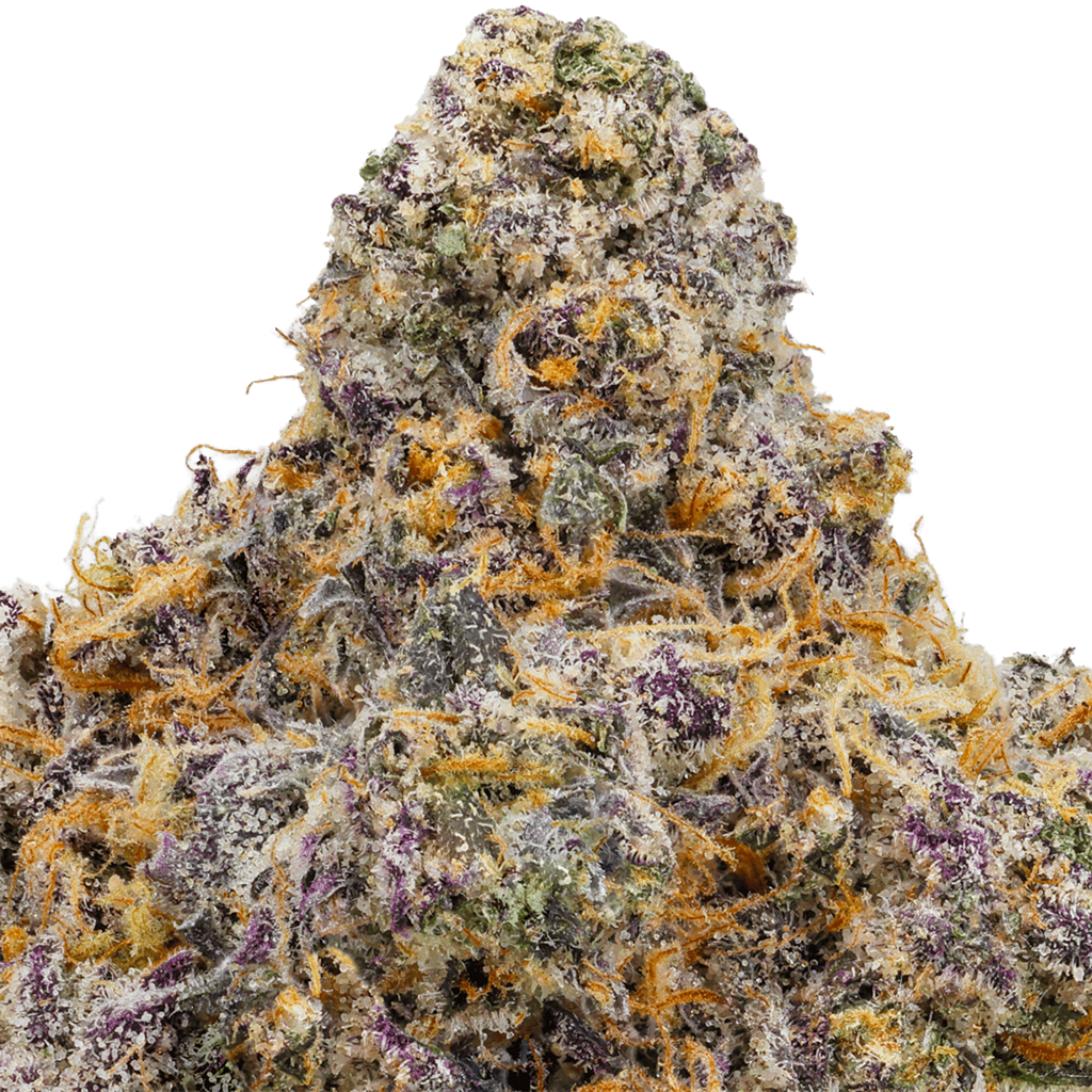 BERNERS BLUE COOKIES: 32.02%