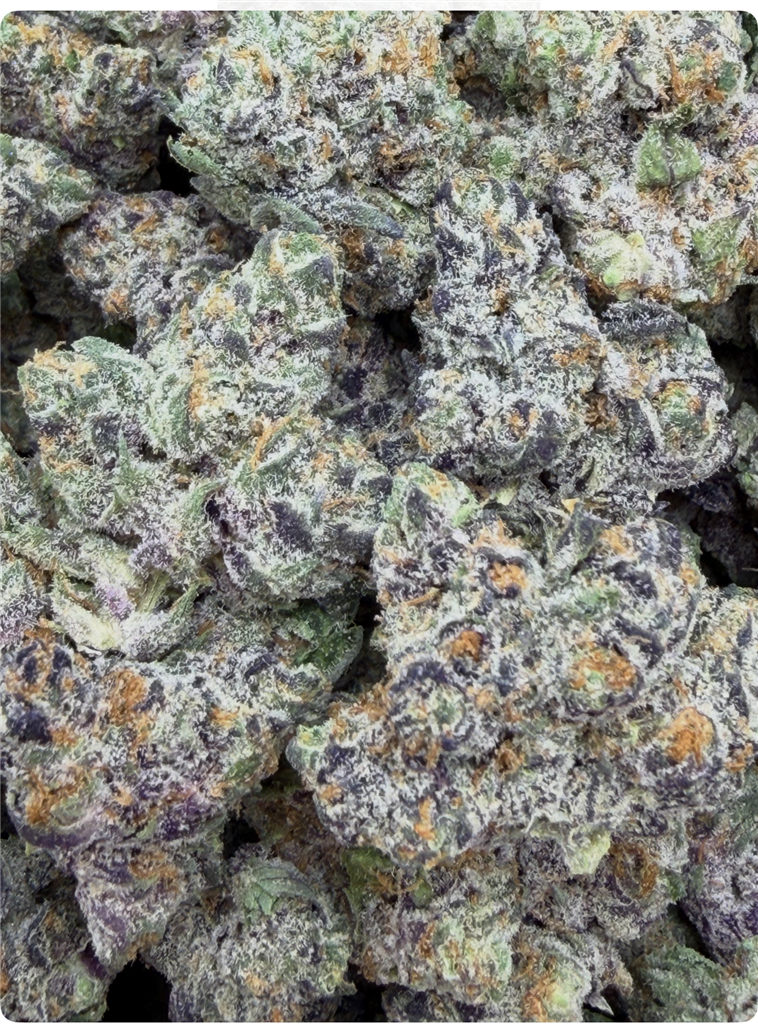 APPLE FRITTER: 32.10% FLOWER