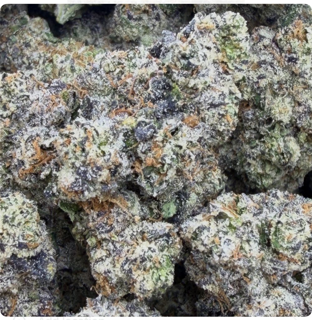 COTTON CANDY LOBSTER: 38.52%