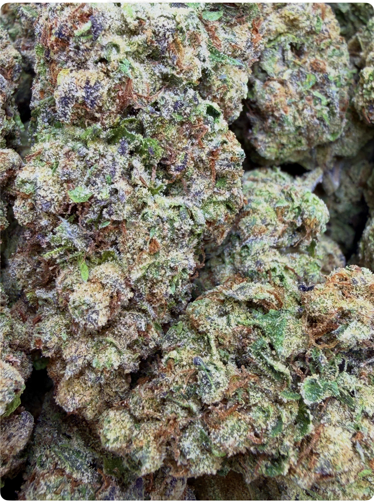 CANDY GAS: 27.37%