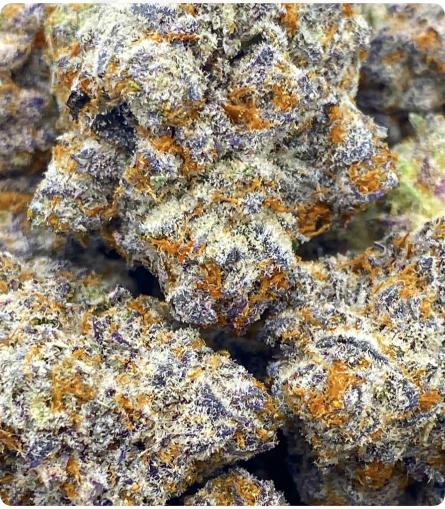 ANIMAL COOKIES X ZITTLEZ  X SOUR DIESEL X CINDREALLAL: 38.24%