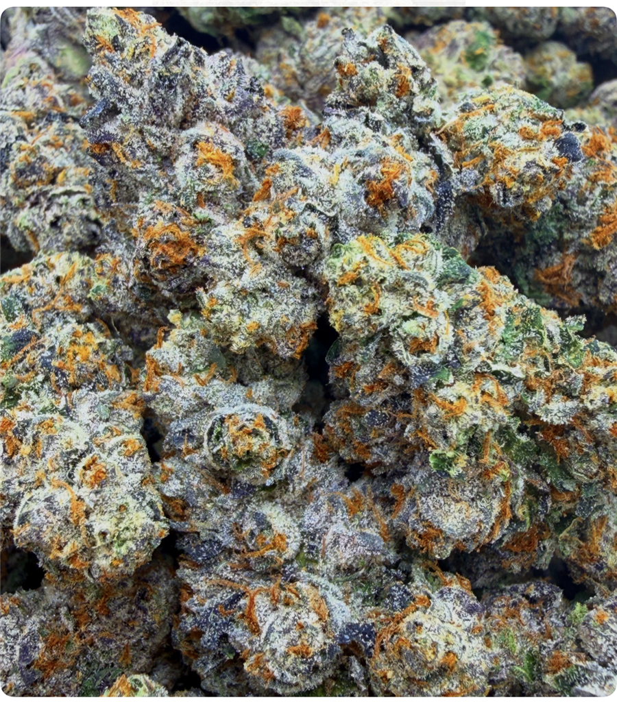 GELATO #41: 37.42%