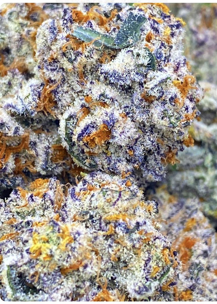 FROSTY THE JACK HERE: 41.23%