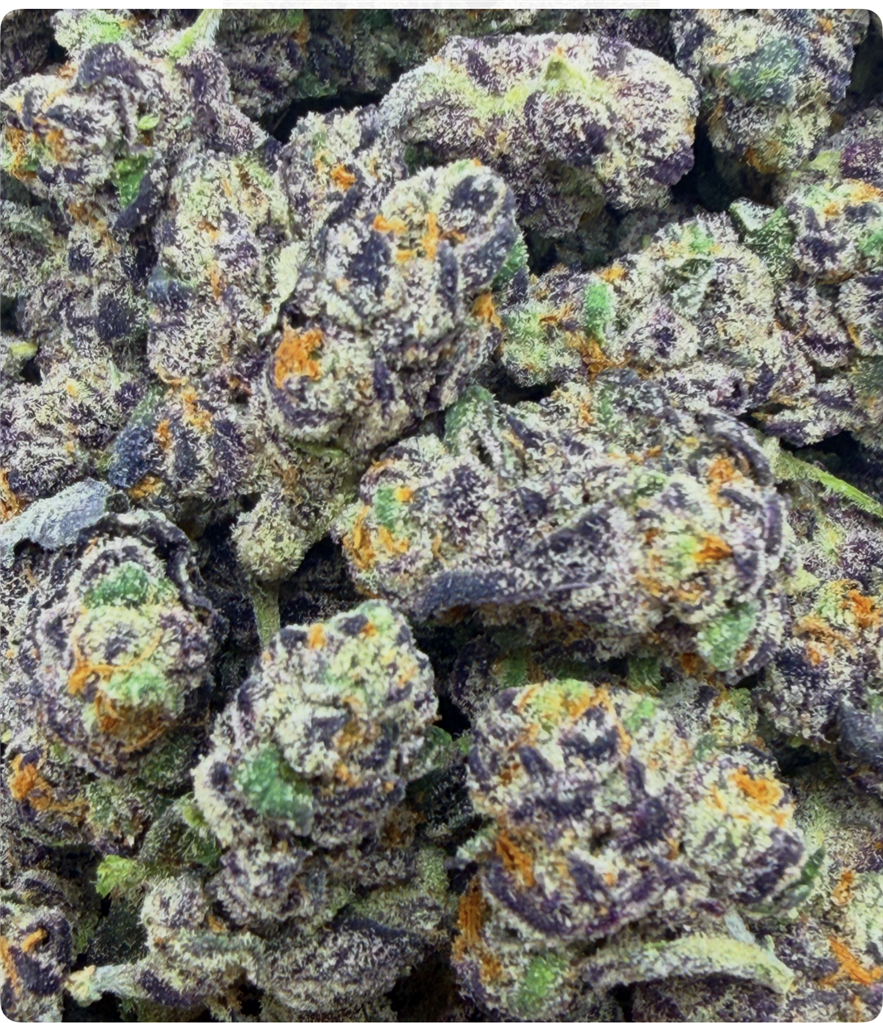  LITTLE DOUGH BOY: 30.35%