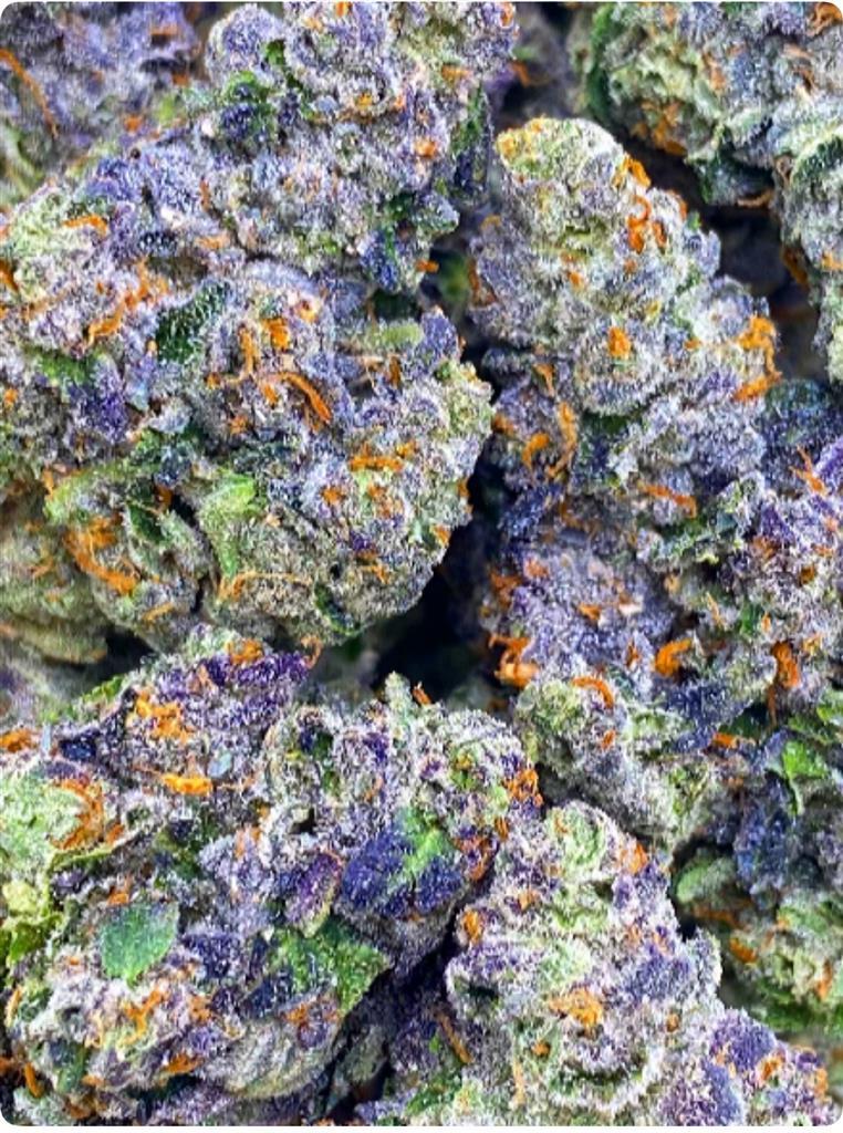 BISCOTTI COOKIES: 34.