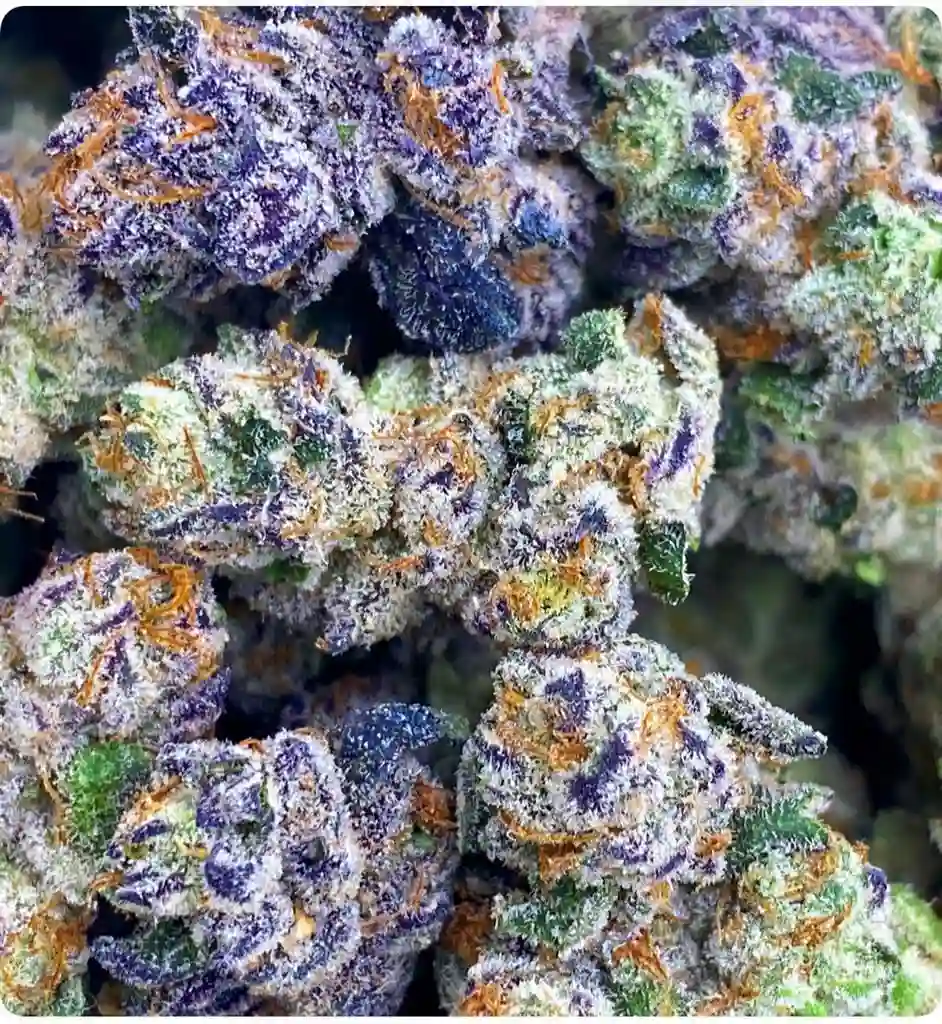 POP ROCKS: 39.36%