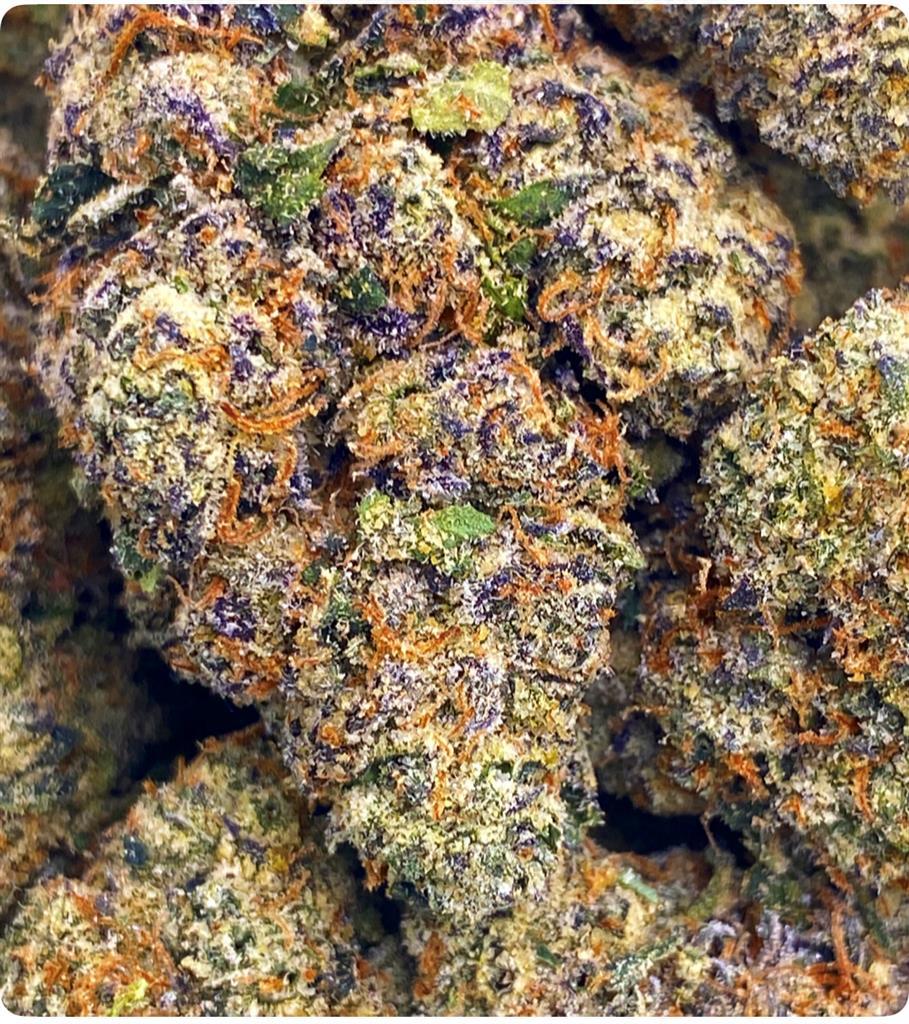 BLUEBERRY KUSH X THIN