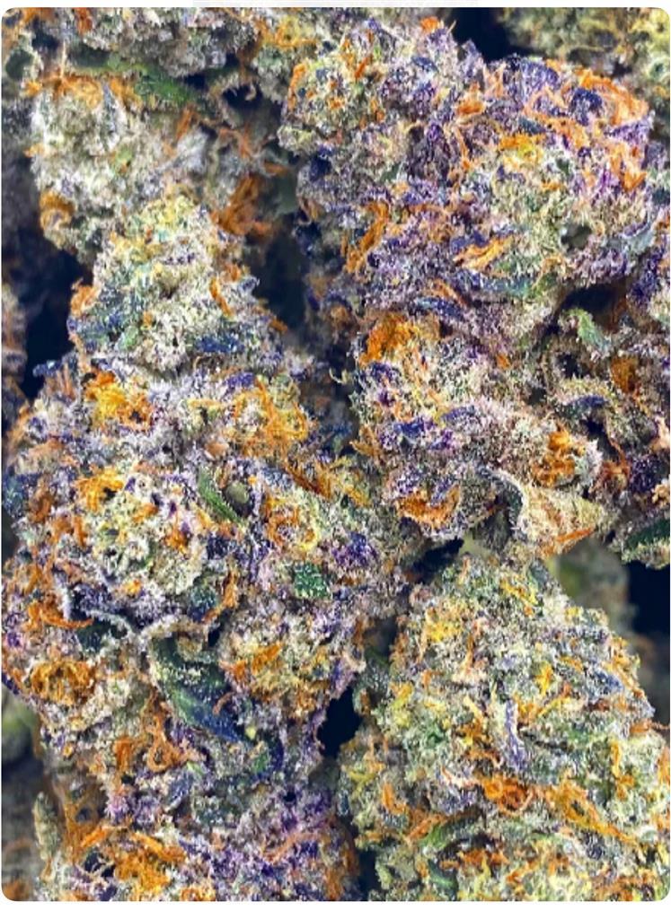 PURP X SAN FERNANDO K