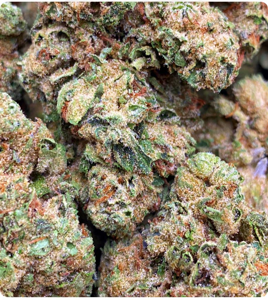 BLUEBERRY RUNTZ: 31%