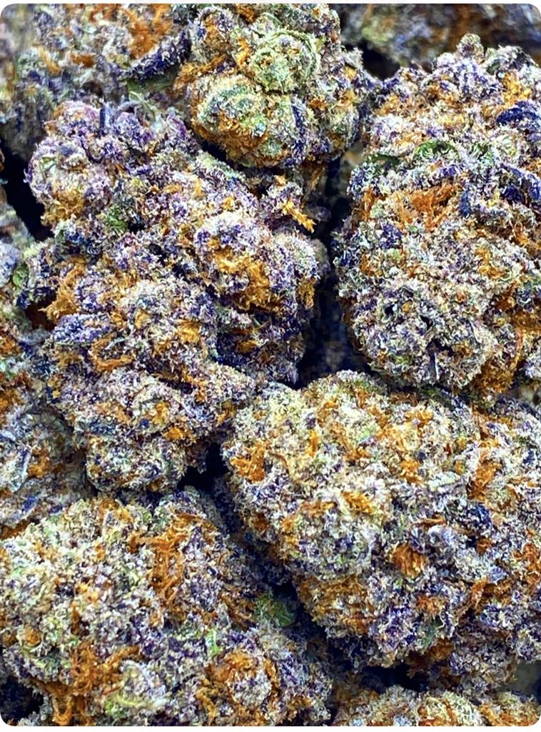 PURPLE AMENSIA: 33.14%