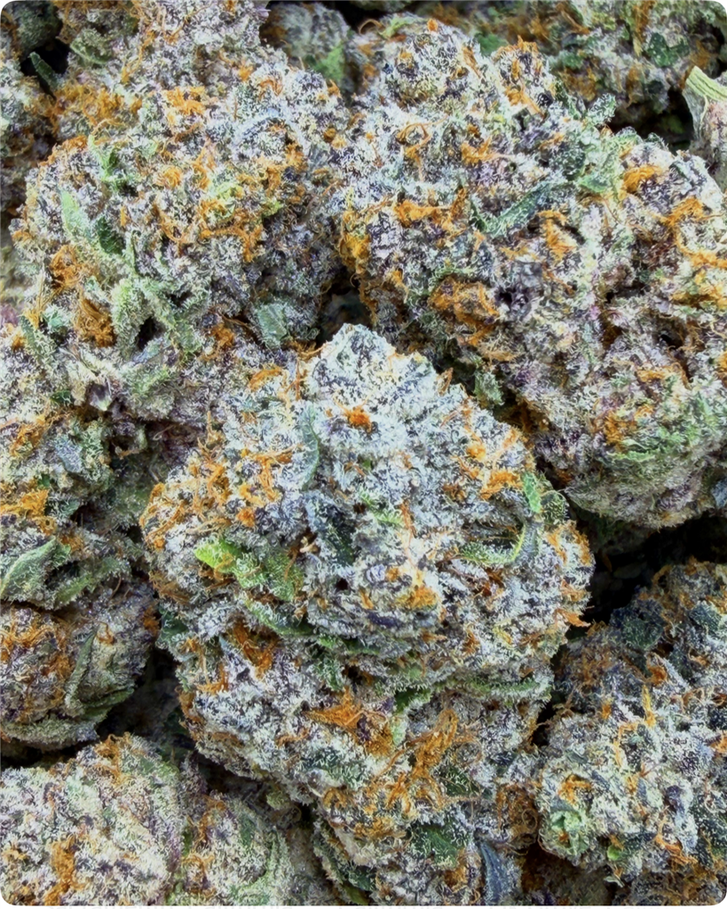 CHOCOLATE FROSTED SHERBET: 38.62%