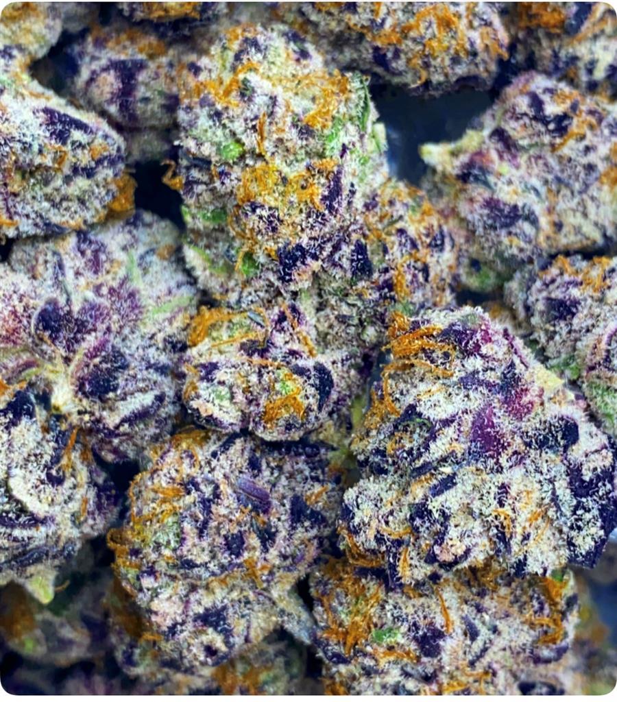 ZOASTY MICRO: 41.27%