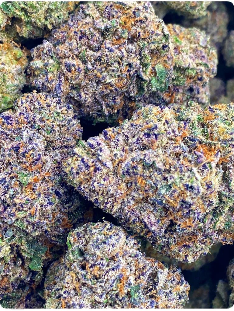 ORANGE VELVET X GRAND
