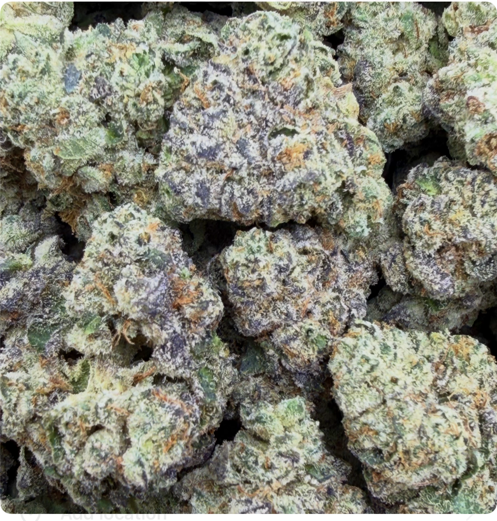 THINMINT X CHEM DAWG: 31.02%