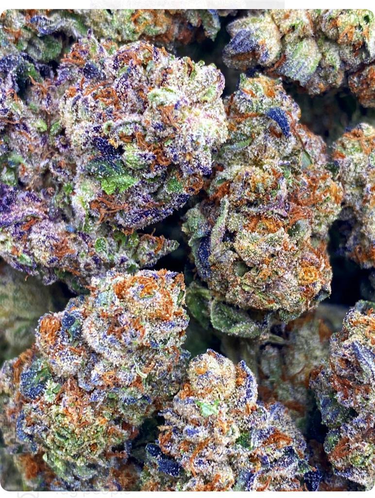 CADILLAC RAINBOW: 31.