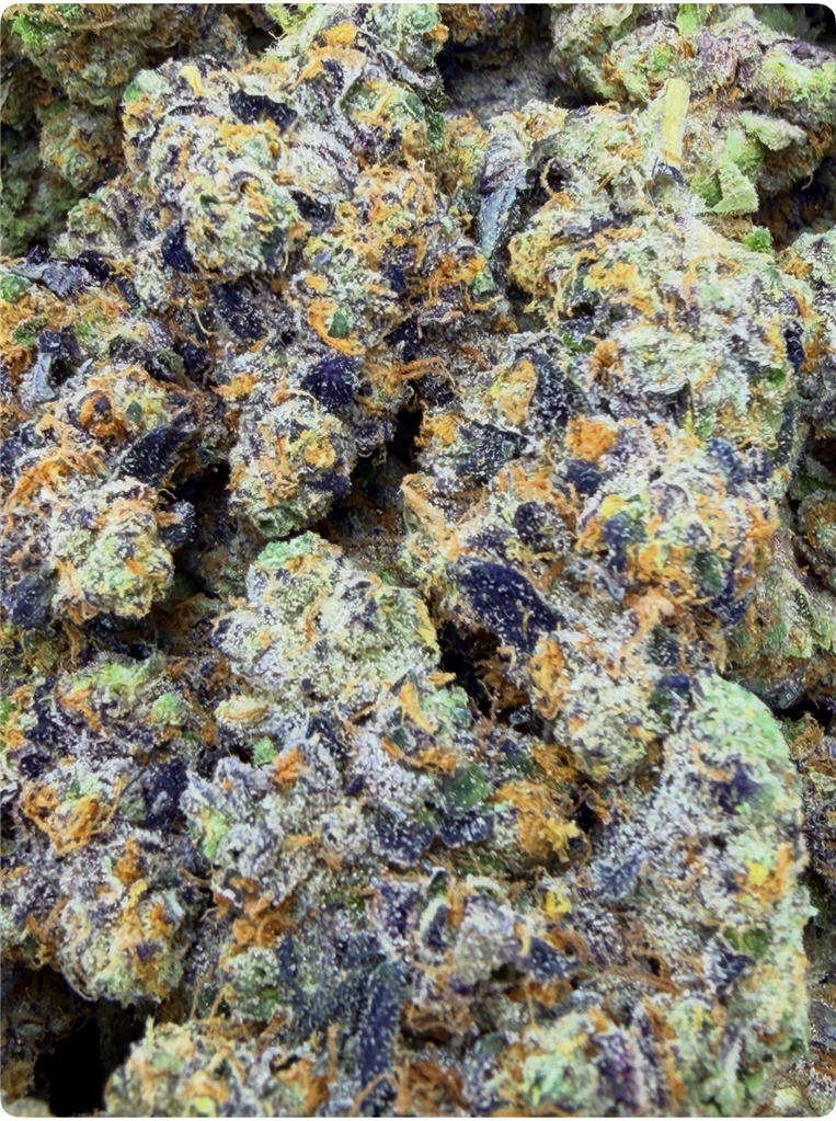 PURPLE CHURROS: 39.02%